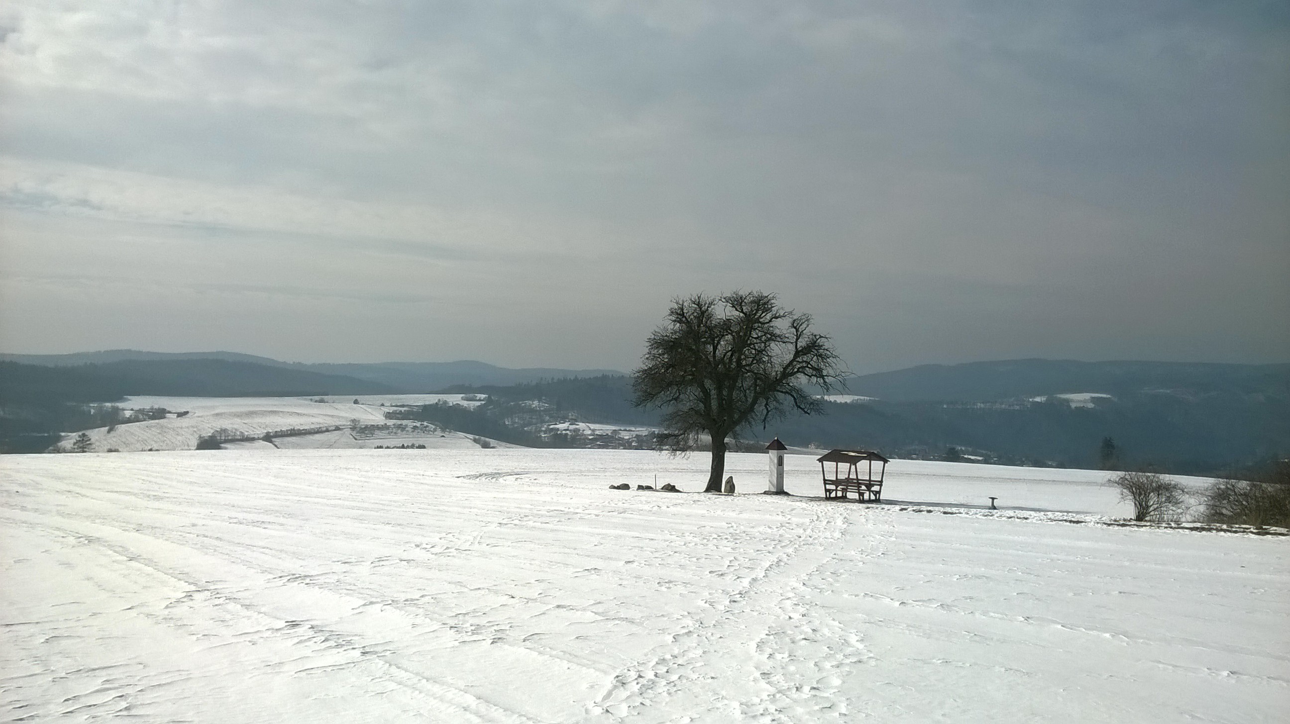 WP_20180303_12_47_59_Pro